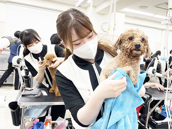 ☆先輩のトリミングを見学☆